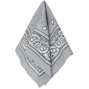 Team Spirit Silver Bandana