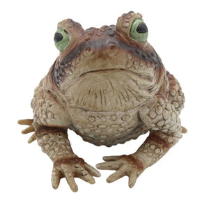 Fright Night Frog Prop Each