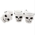 Fright Night Skulls Mini Bucket 6pk