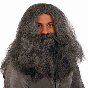 Wizard Wig And Beard