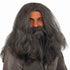 Wizard Wig And Beard