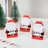 Merry Christmas Santa Place Cards 8.5cm x 6.5cm 10pk