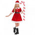 Miss Santa Claus Dress Child's Costume