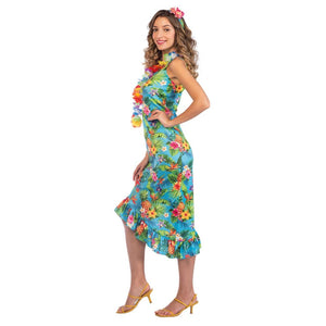 Costume Women Hawaii Blue Dress Womens Costume