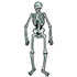 Cardstock Skeleton 56cm 2pk