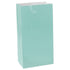 Robin's Egg Blue Large Paper Treat Bags 25cm x 13cm 12pk