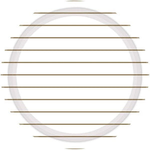 Tableware - Plates Gold Stripes Round NPC Lunch Paper Plates FSC 23cm 8pk