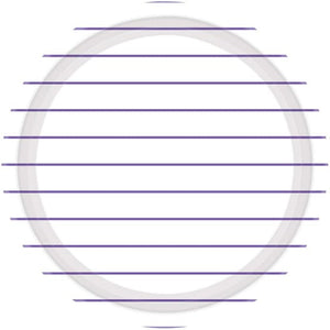 Tableware - Plates New Purple Stripes NPC Round Paper Plates FSC 23cm 8pk