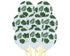 Crystal Clear Latex Balloons With Green Leaves 30cm 12pk