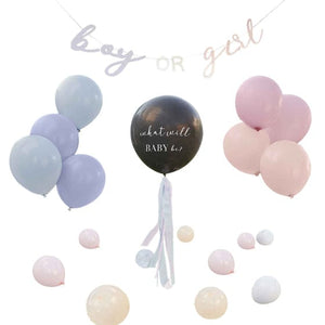 Balloon - Printed Latex Hello Baby Pink & Blue Gender Reveal Party Pack