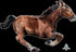 Galloping Horse SuperShape Foil Balloon 101cm x 63cm Each