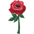 Giant Multi-Balloon Painted Rose 157cm Each