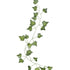 Beautiful Botanics Decorative Vines 5pk