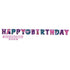 Encanto Happy Birthday Add-An-Age Banner Each