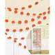 Amscan_OO Decorations - Banners, Flags & Streamers Orange Orange Glitter Round String Decorations 2m 6pk