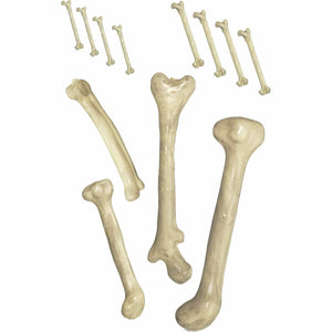 Amscan_OO Decorations - Props Bag Of Bones