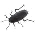 Giant Cockroach Prop 20cm x 30cm Each