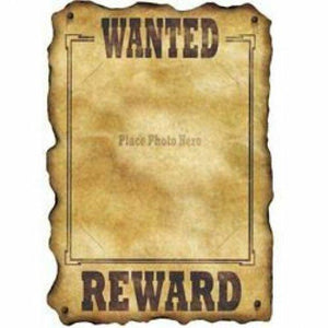 Amscan_OO Decorations - Props Western Wanted Reward Sign Each