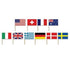 International Assorted Flags Picks 6cm 50pk