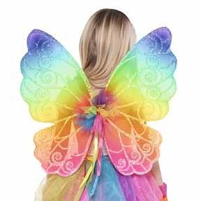 Amscan_OO Wings & Wands Rainbow Fairy Wings Each